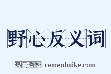 野心反义词是什么意思的图片